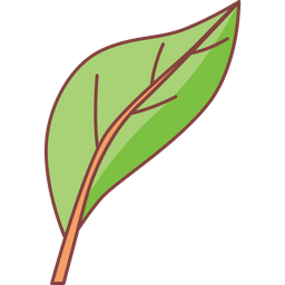 Leaf  Icon