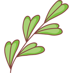 Leaf  Icon