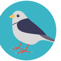 Bird  Icon