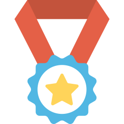 Achievement Medal  Icon