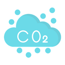 Co 2  Icon