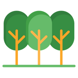 Forest  Icon