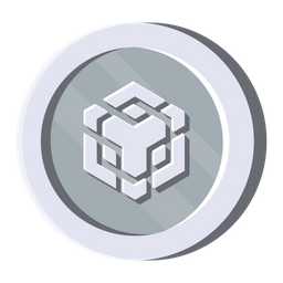 BNB Silver Coin  Icon