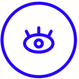 Eye  Icon