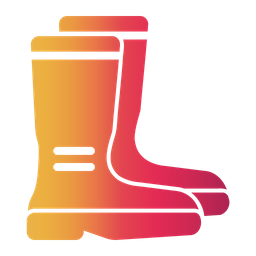 Boots  Icon