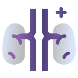 Kidney  Icon