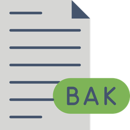 Backup File  Icon