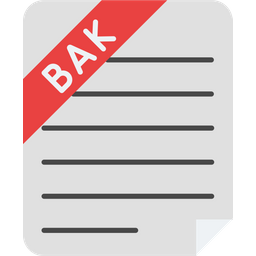 Backup File  Icon