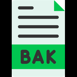 Backup File  Icon