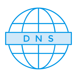 Domain service  Icon