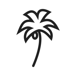 Coconut tree  Icon