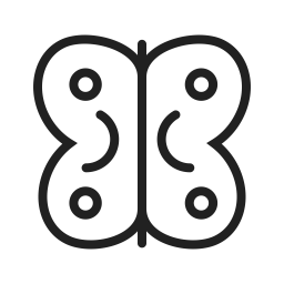 Butterfly  Icon