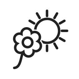 Flower in sunlight  Icon