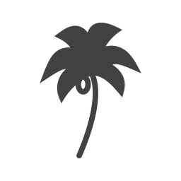 Coconut tree  Icon