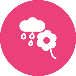 Fleur avec pluie  Icône