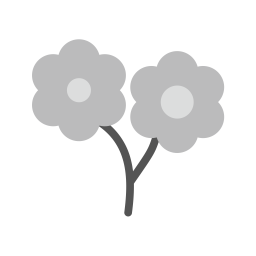 Flowers  Icon