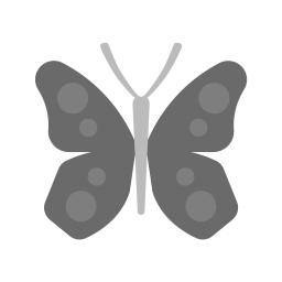 Papillon  Icône