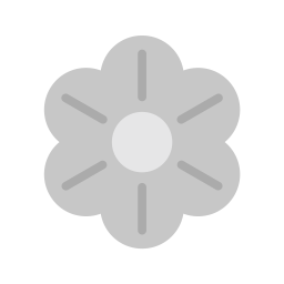 Flower  Icon