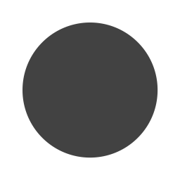 Circle  Icon