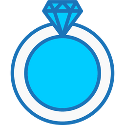 Accessory  Icon