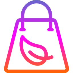 Eco Bag  Icon