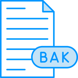 Backup File  Icon