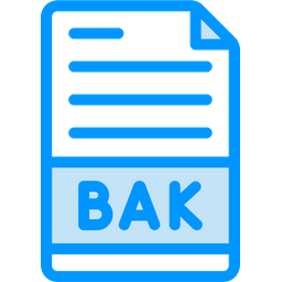 Backup File  Icon