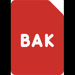 Backup File  Icon