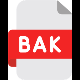 Backup File  Icon