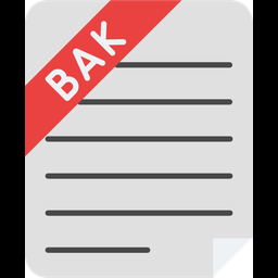 Backup File  Icon