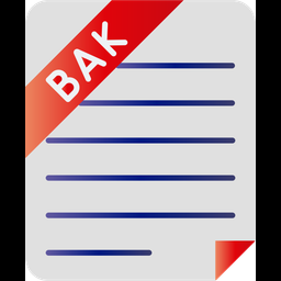 Backup File  Icon