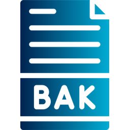 Backup File  Icon