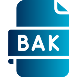 Backup File  Icon