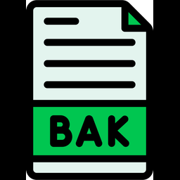 Backup File  Icon