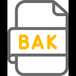 Backup File  Icon