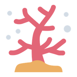 Coral  Icon