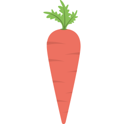 Carrot  Icon