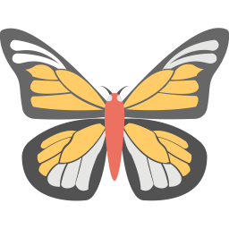 Butterfly  Icon