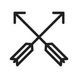 Arrows  Icon