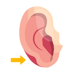 Ear eczema  Icon