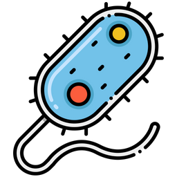 Bacteria  Icon