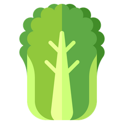 Chinese Cabbage  Icon