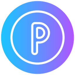 Parking  Icon