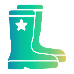 Boots  Icon