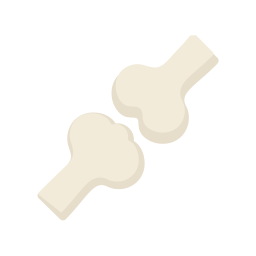 Bone Joint  Icon