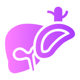 Liver  Icon