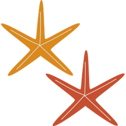 Starfish  Icon