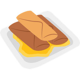 Chinese Spring Roll  Icon