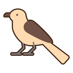 Cactus Wren  Icon