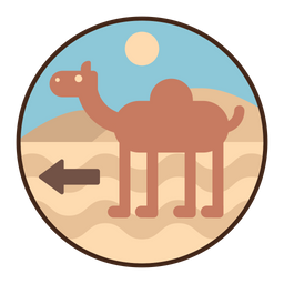 Camel Riding  Icon